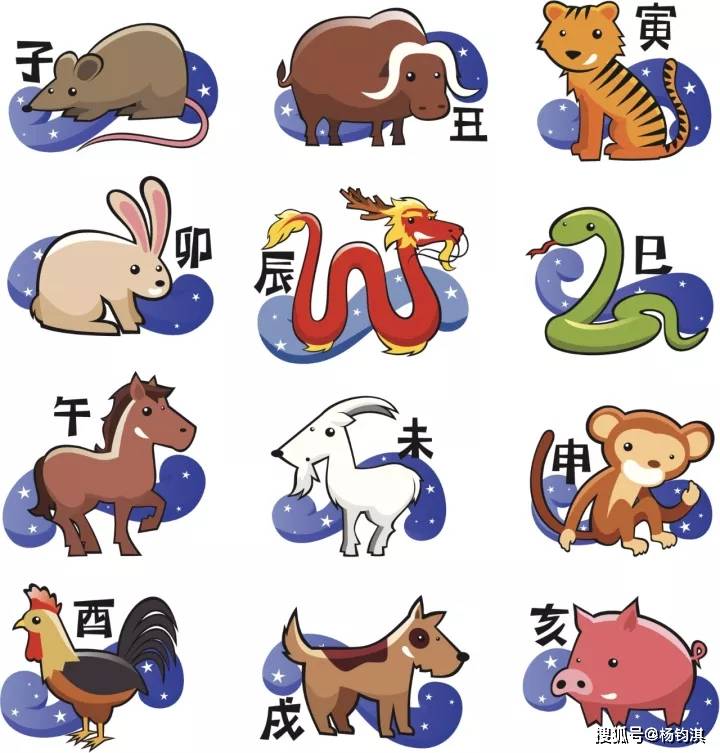 今晚必中四不像图玄机图的解答解释与落实策略,今晚必中四不像图玄机图,构建解答解释落实_89o55.55.13