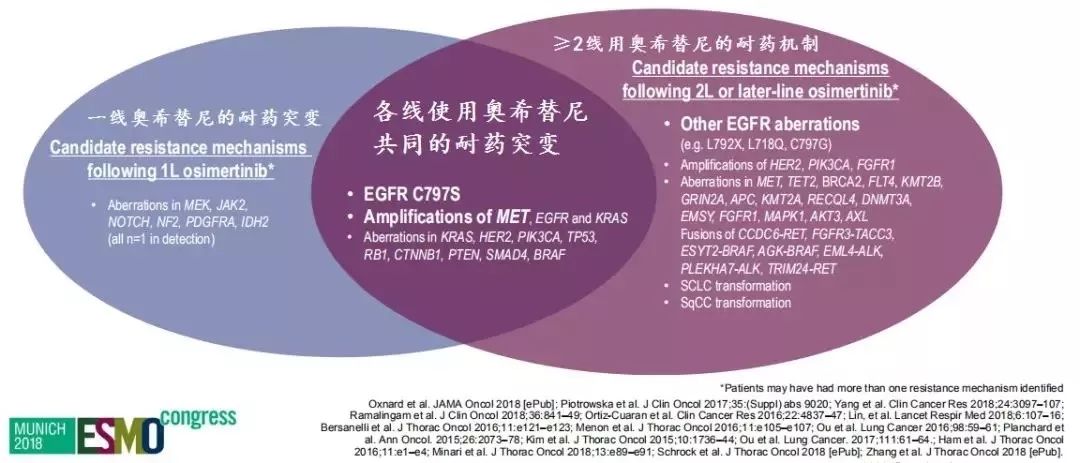 全民喜欢，2025新奥最新资料大全精选解析、落实与策略探讨,2025新奥最新资料大全精选解析、落实与策略 全民喜欢
