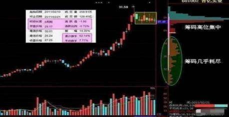 一码一肖，揭秘精准预测的神秘面纱与百分之百精准之道,一码一肖100%精准—揭秘精准预测的秘密
