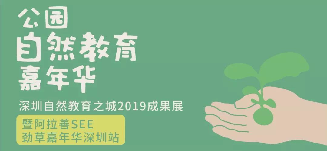 三中三必中一组澳门，聆听大自然的声音，感受生命的律动,三中三必中一组澳门—聆听大自然的声音,感受生命的律动