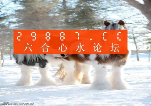 今晚买彩票四不像必中一肖，专家解答与解读策略,今晚买四不像必中一肖,专家解答解释落实_c616.34.50