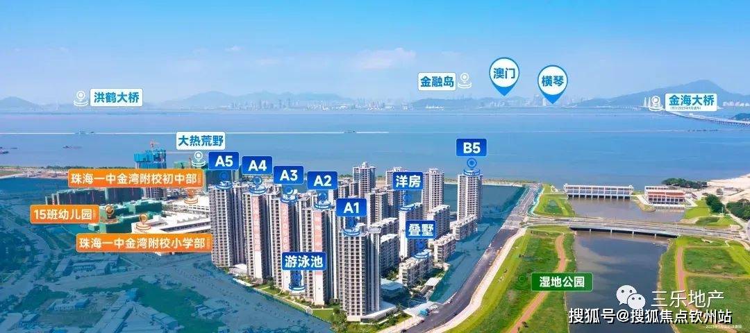 咨询 第225页